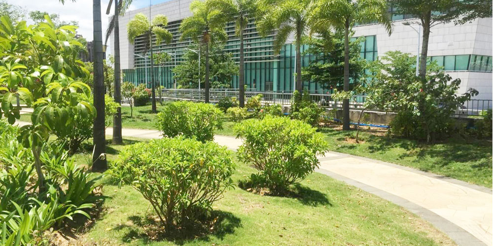 萬寧市多功能活動中心增加配套項目（景觀建設）施工